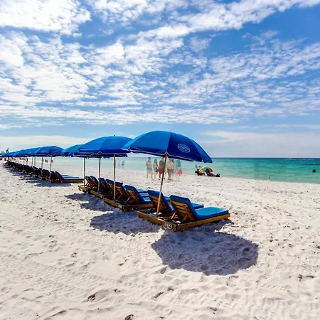 Top Of The Gulf Experience